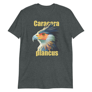 CARACARA PLANCUS