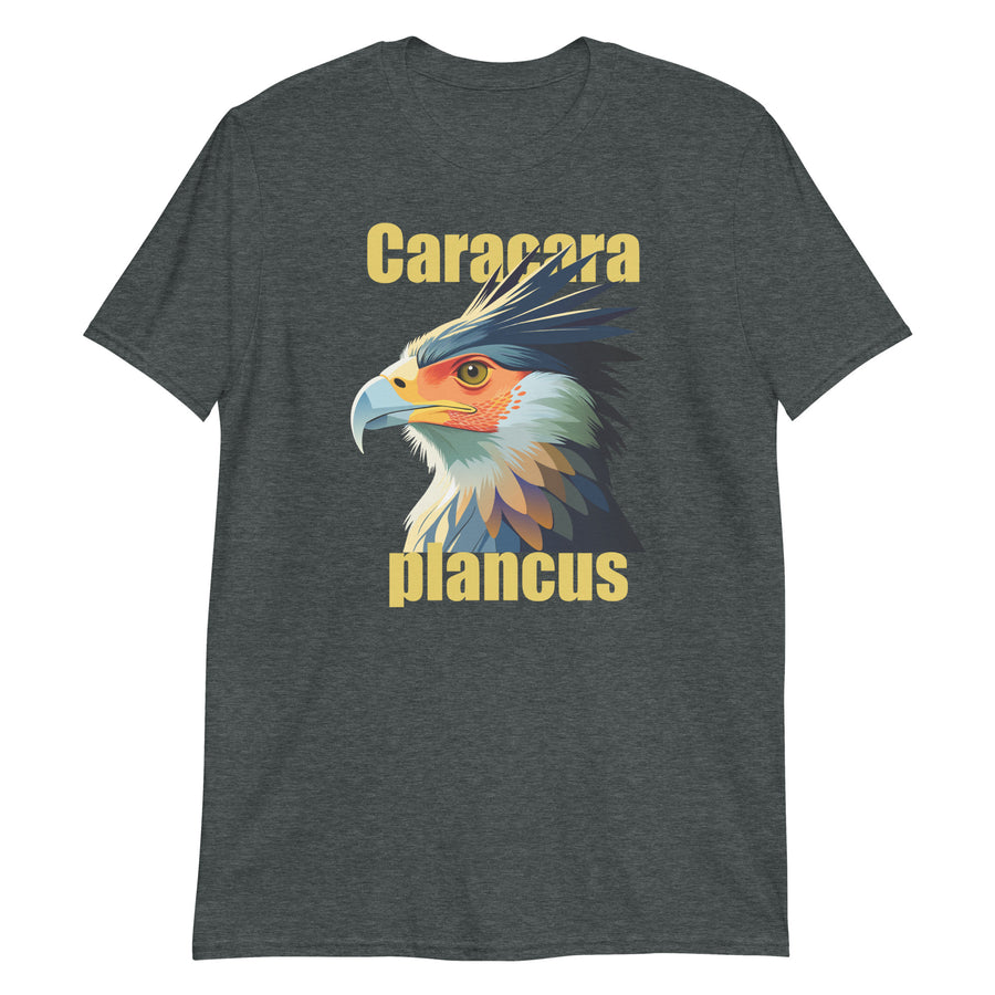 CARACARA PLANCUS